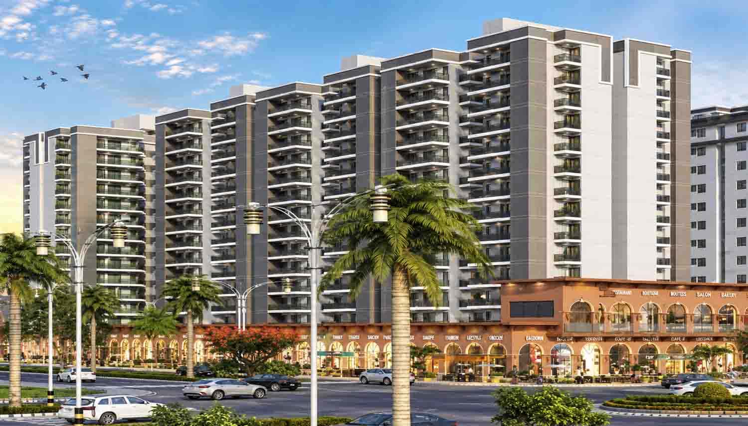 MANSHA EVERNEST Faridabad