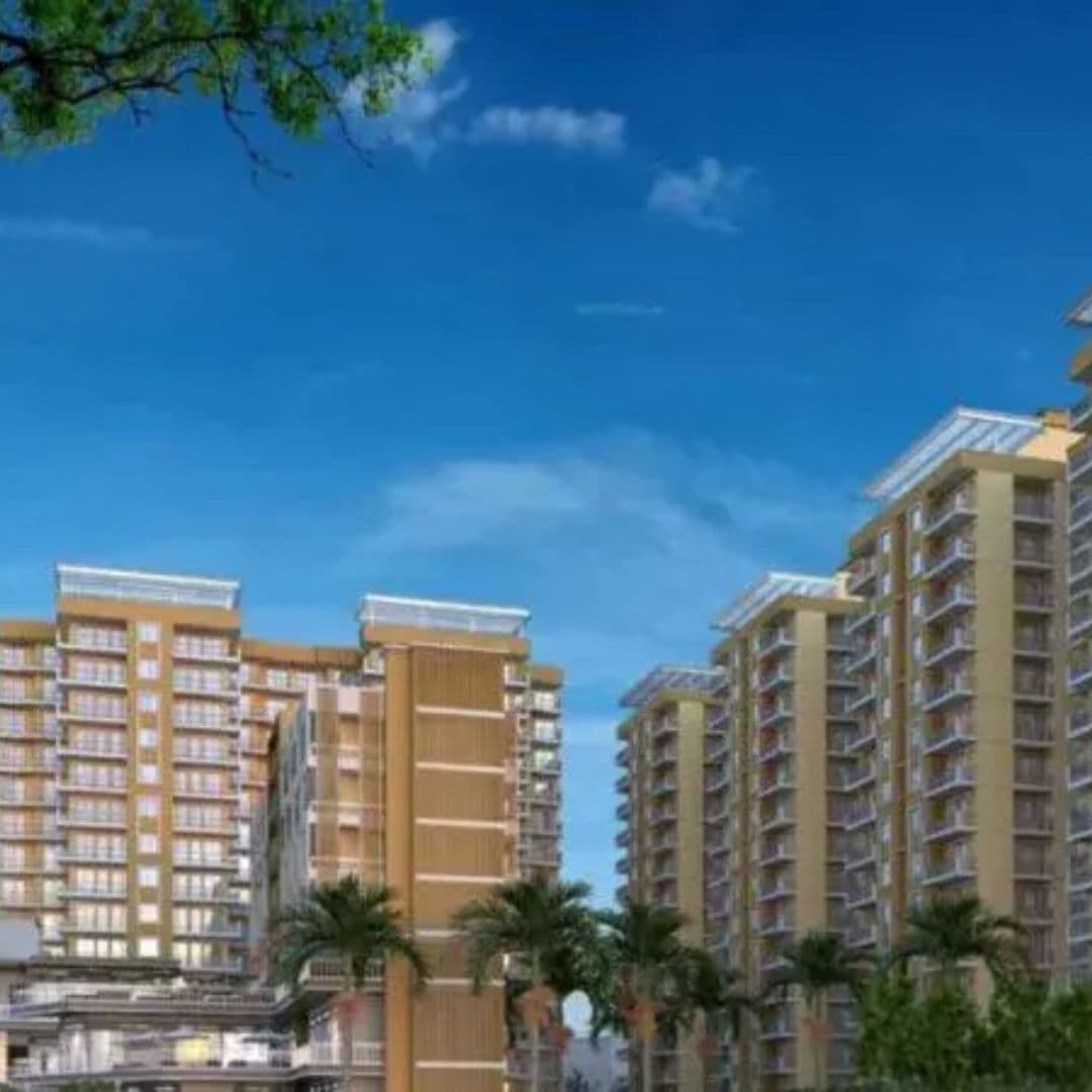 yashika green square 99a brochure pdf free download