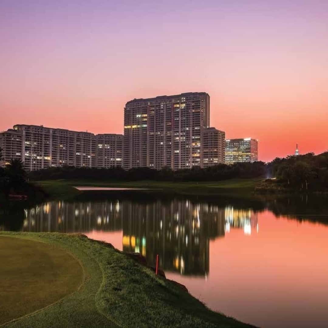 DLF The Camellias