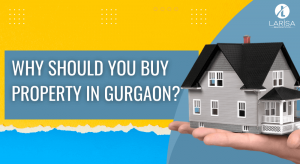 Should you hot sale buy property