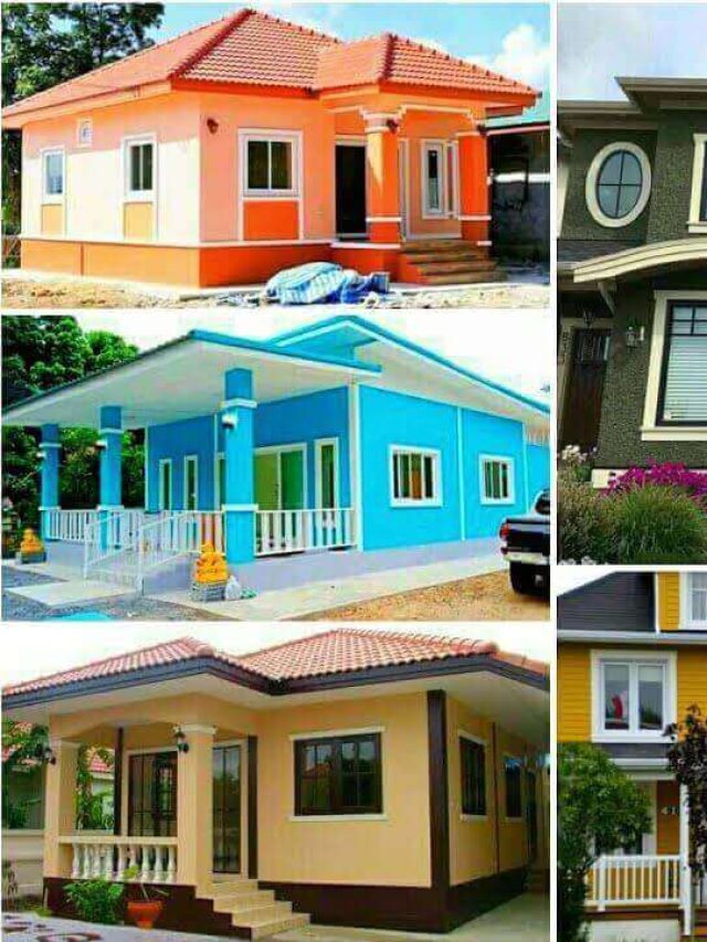 Best Colour Combination For Home Exterior - Larisa Realtech