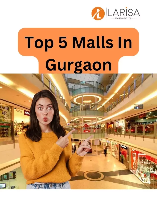 Top 5 malls in Gurgaon - Larisa Realtech