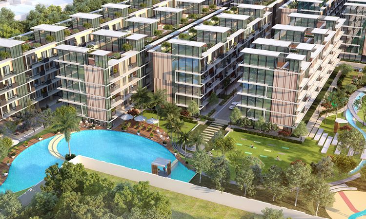 Signature Project in Gurugram 