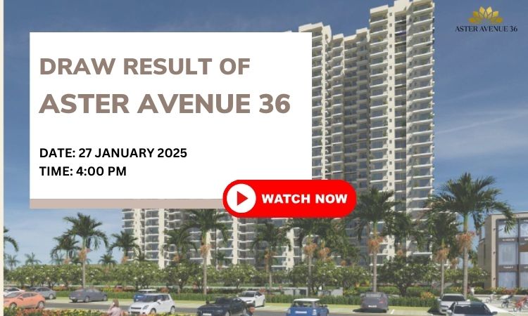 Aster Avenue 36 Draw Result