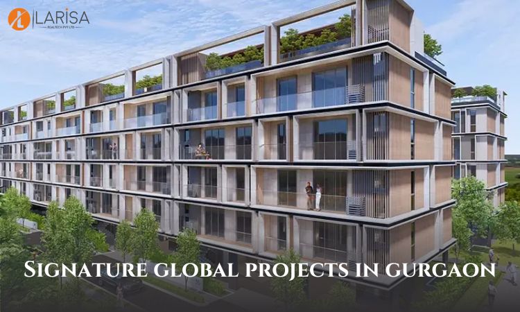 Signature Global Projects in Gurgaon