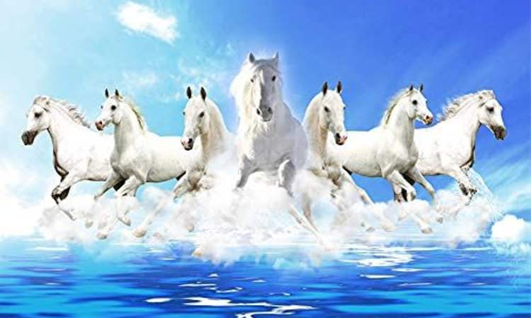 7 Horse Picture with or Near Sea